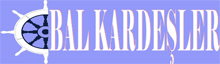 Ankara İnşaat İskele Kiralama Bal Kardeşler